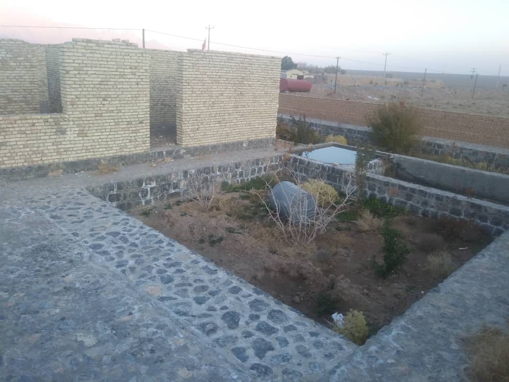 علی 